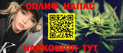 ешки Будённовск