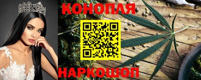 ешки Будённовск
