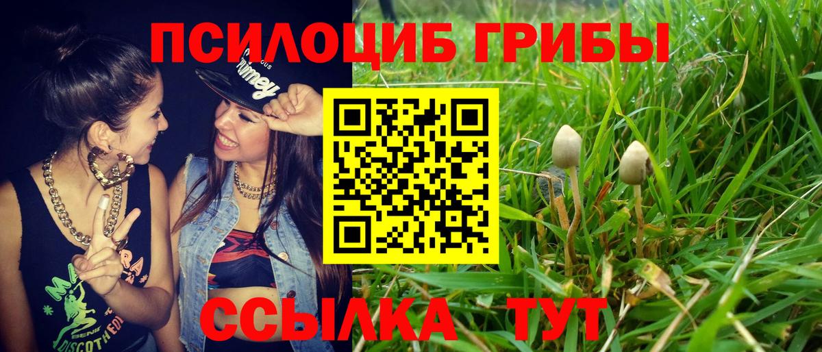 Псилоцибиновые грибы Cubensis  Галлюциногенные грибы прущие грибы  Вход с VPN  даркнет сайт  Партизанск 